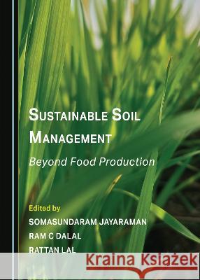 Sustainable Soil Management: Beyond Food Production Somasundaram Jayaraman Ram C Dalal Rattan Lal 9781527502048 Cambridge Scholars Publishing
