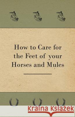 How to Care for the Feet of Your Horses and Mules Anon 9781528700573 Read Books