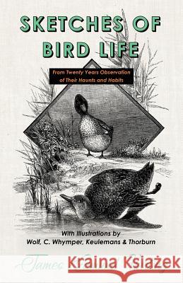 Sketches of Bird Life - From Twenty Years Observation of Their Haunts and Habits - With Illustrations by Wolf, C. Whymper, Keulemans, and Thorburn James Edmund Harting 9781528708081 Read Country Books