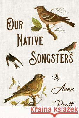 Our Native Songsters Anne Pratt 9781528708098 Thousand Fields