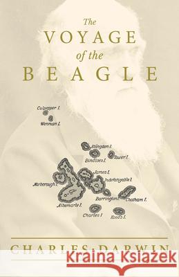 The Voyage of the Beagle Charles Darwin 9781528717069 Read & Co. Books