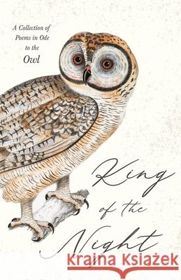 King of the Night - A Collection of Poems in Ode to the Owl Various 9781528719834 Ragged Hand