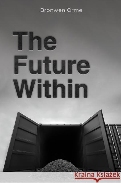 The Future Within Bronwen Orme 9781528929516 Austin Macauley Publishers