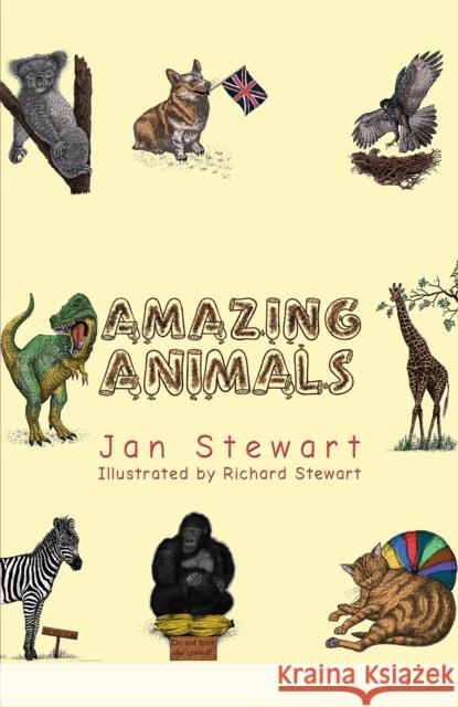 Amazing Animals Jan Stewart Richard Stewart 9781528947367