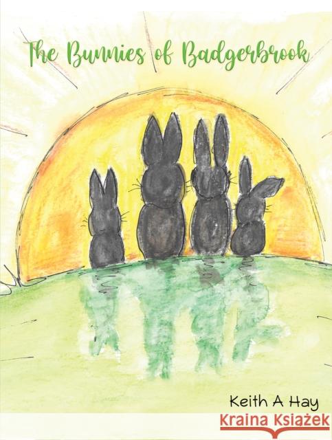 The Bunnies of Badgerbrook Keith A Hay 9781528954716 Austin Macauley Publishers