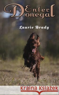 Enter Donegal Laurie Brady 9781528977708 Austin Macauley Publishers