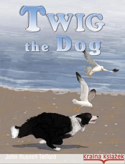 Twig the Dog John Russell Telford 9781528984508