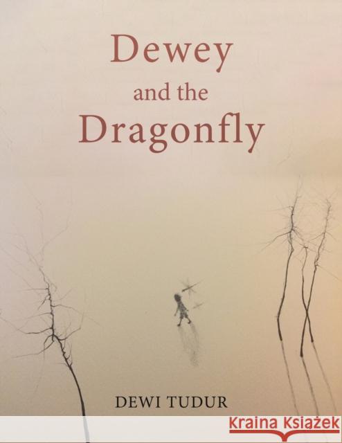 Dewey and the Dragonfly Dewi Tudur 9781528994941