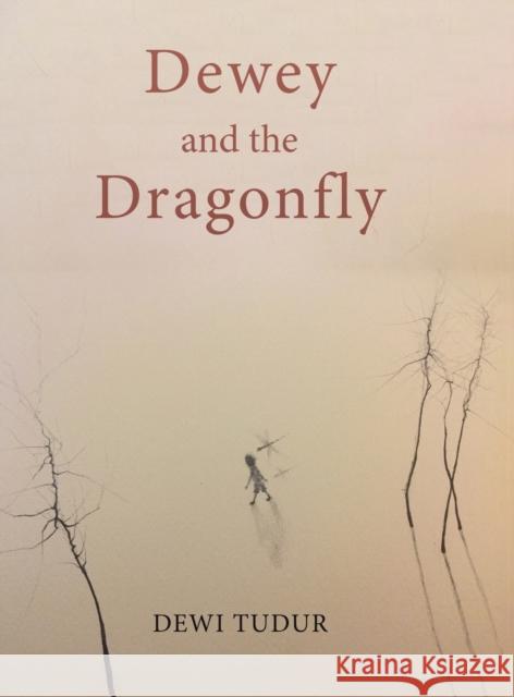 Dewey and the Dragonfly Dewi Tudur 9781528994958