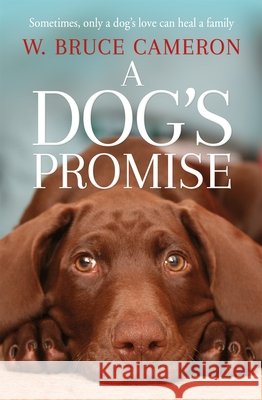 A Dog's Promise W. Bruce Cameron 9781529010084