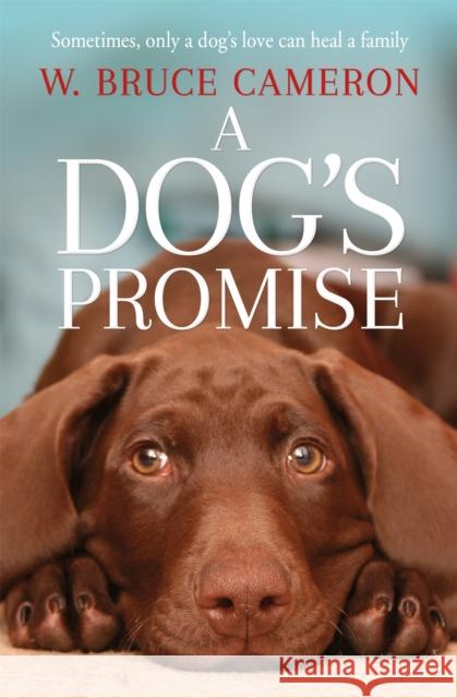 A Dog's Promise Bruce Cameron, W. 9781529010084