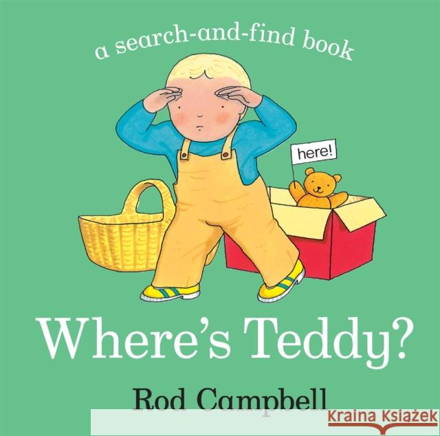 Where's Teddy? Rod Campbell 9781529012019 Pan Macmillan