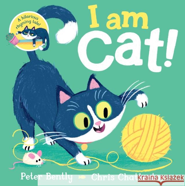 I am Cat Bently, Peter 9781529013276 Pan Macmillan