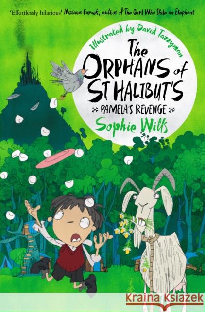 The Orphans of St Halibut's: Pamela's Revenge Sophie Wills 9781529013399