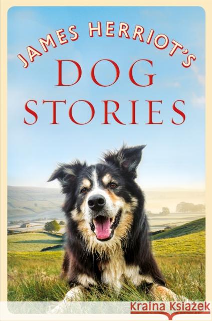 James Herriot's Dog Stories James Herriot 9781529023619