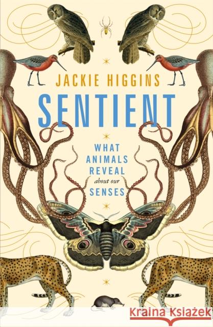 Sentient: What Animals Reveal About Our Senses Jackie Higgins 9781529030785 Pan Macmillan
