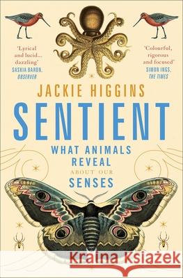 Sentient: What Animals Reveal About Human Senses Jackie Higgins 9781529030815 Pan Macmillan