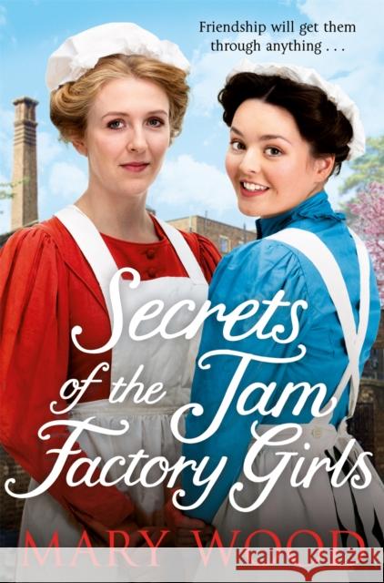 Secrets of the Jam Factory Girls Mary Wood 9781529033397 Pan Macmillan