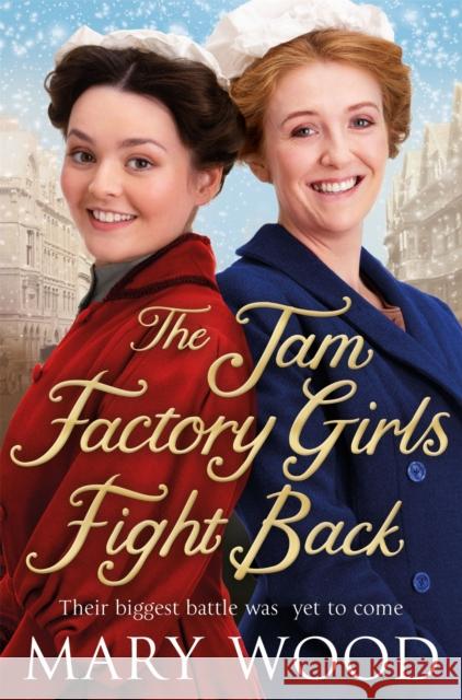 The Jam Factory Girls Fight Back Mary Wood 9781529033496 Pan Macmillan