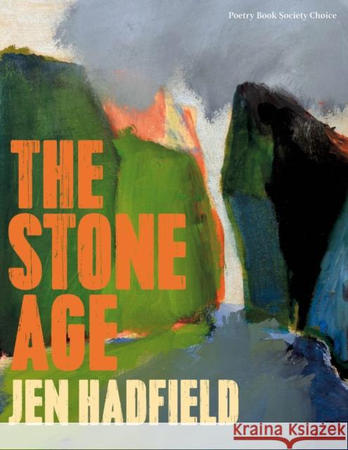 The Stone Age Jen Hadfield 9781529037340 Pan Macmillan