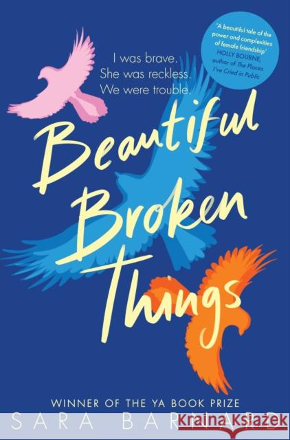 Beautiful Broken Things Sara Barnard   9781529037609 Pan Macmillan