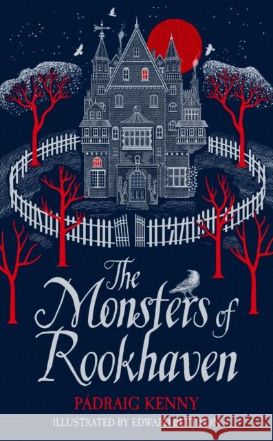 The Monsters of Rookhaven Padraig Kenny Edward Bettison  9781529050509 Pan Macmillan