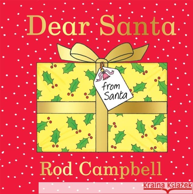 Dear Santa: A Lift-the-flap Christmas Book  9781529050714 Pan Macmillan