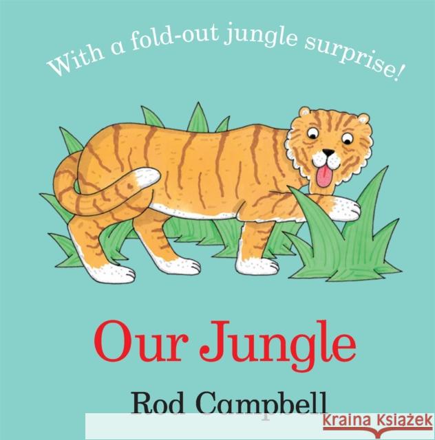 Our Jungle Rod Campbell   9781529058307 Pan Macmillan