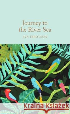 Journey to the River Sea Eva Ibbotson 9781529059359 Pan Macmillan