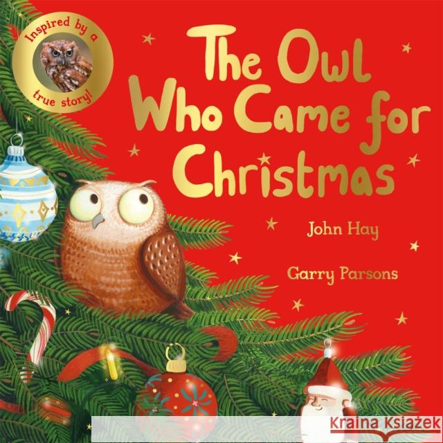 The Owl Who Came for Christmas John Hay 9781529070507 Pan Macmillan