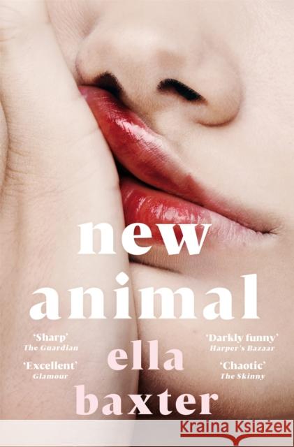 New Animal Ella Baxter 9781529074840 Pan Macmillan