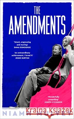 The Amendments: the instant Irish bestseller about one family through the generations Niamh Mulvey 9781529079869