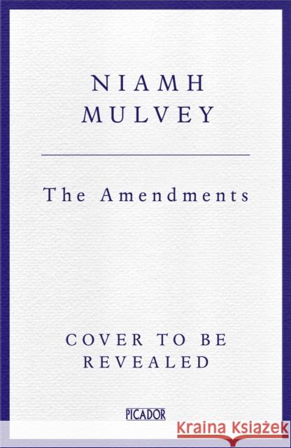 The Amendments Niamh Mulvey 9781529079876