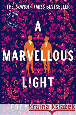 A Marvellous Light: a dazzling, queer romantic fantasy Freya Marske 9781529080902