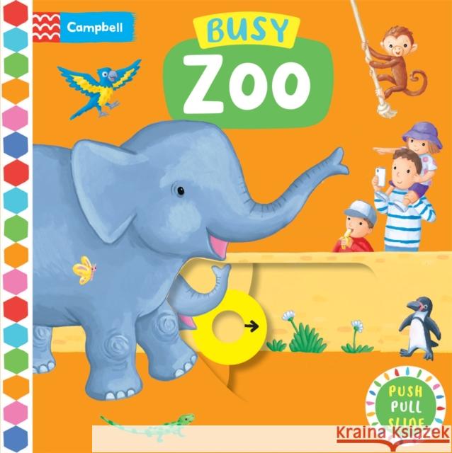 Busy Zoo: A Push, Pull, Slide Book Ruth Redford 9781529084689