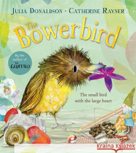 The Bowerbird Julia Donaldson 9781529092257 Pan Macmillan