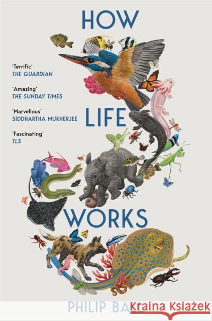 How Life Works: A User’s Guide to the New Biology Philip Ball 9781529096002 Pan Macmillan