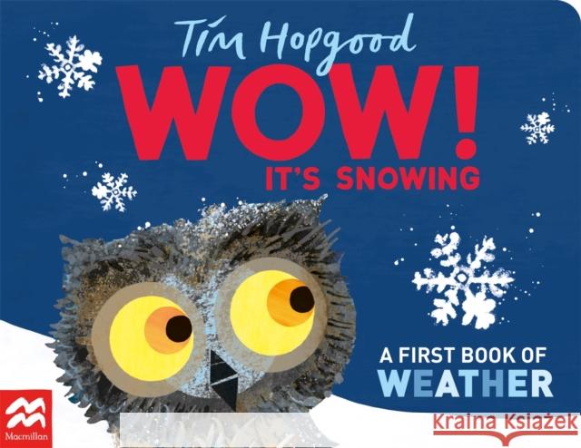 WOW! It's Snowing: A First Book of Weather Hopgood, Tim 9781529098396 Pan Macmillan