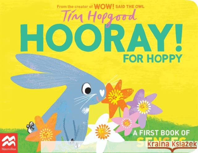 Hooray for Hoppy: A First Book of Senses Hopgood, Tim 9781529098976 Pan Macmillan