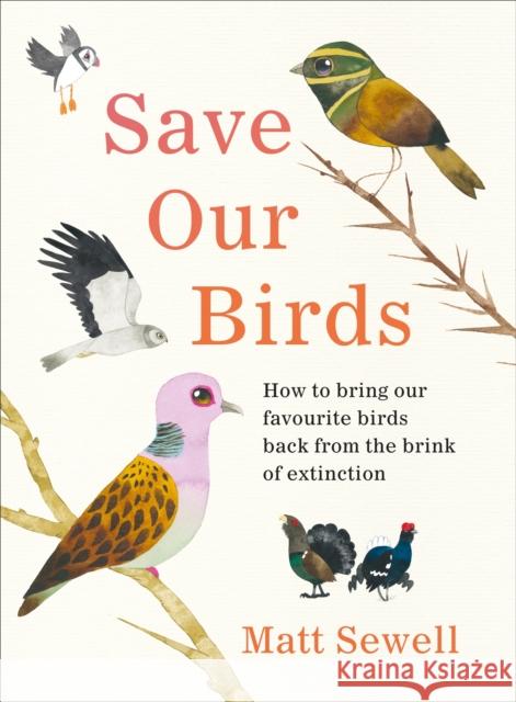 Save Our Birds: How to bring our favourite birds back from the brink of extinction Matt Sewell 9781529107944 Ebury Publishing