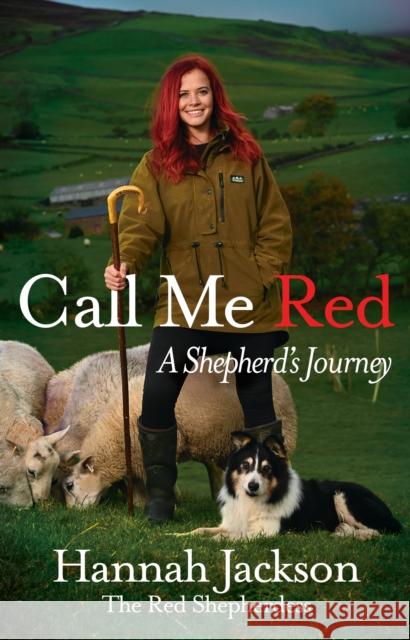 Call Me Red: A shepherd's journey Hannah Jackson 9781529109115 Ebury Publishing