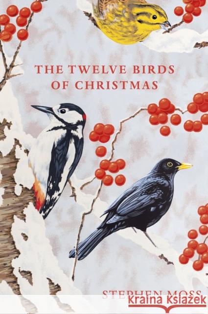 The Twelve Birds of Christmas Stephen Moss 9781529110104 Vintage Publishing