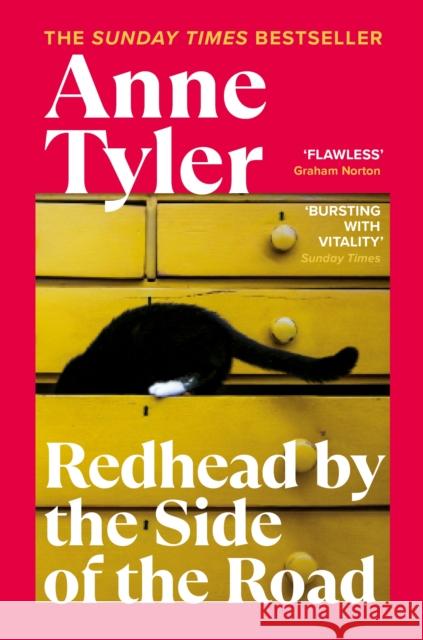 Redhead by the Side of the Road: From the bestselling author of French Braid Tyler, Anne 9781529112450 Vintage Publishing