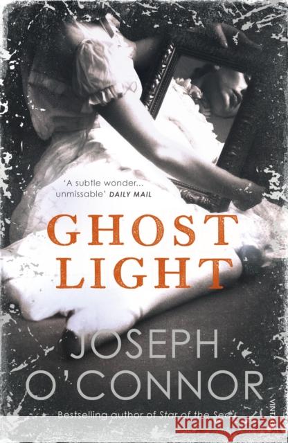 Ghost Light: From the Sunday Times Bestselling author of Star of the Sea Joseph O'Connor 9781529112627