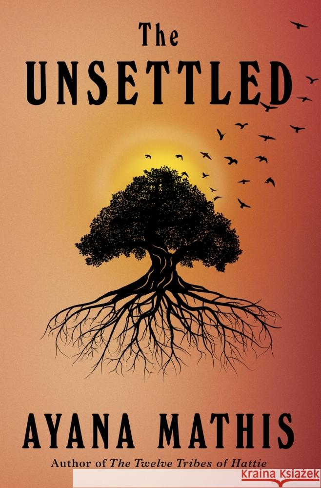 The Unsettled Mathis, Ayana 9781529151688