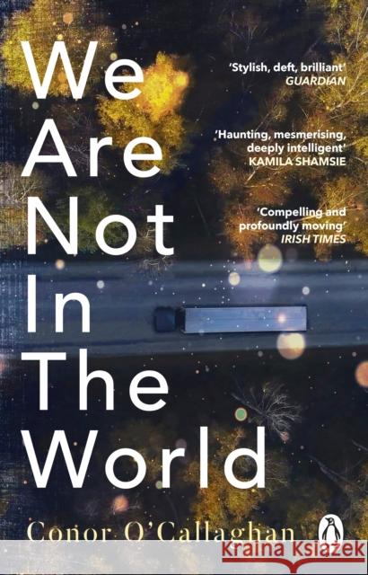 We Are Not in the World: ‘compelling and profoundly moving’ Irish Times Conor O'Callaghan 9781529176360