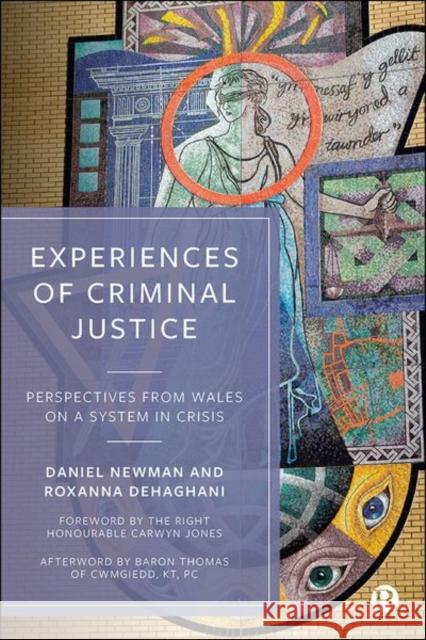 Experiences of Criminal Justice: Perspectives from Wales on a System in Crisis  9781529214222 Bristol University Press