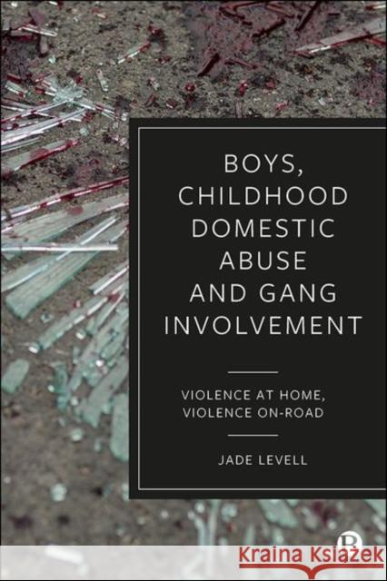 Boys, Childhood Domestic Abuse and Gang Involvement: Violence at Home, Violence On-Road Jade Levell 9781529219807 Bristol University Press