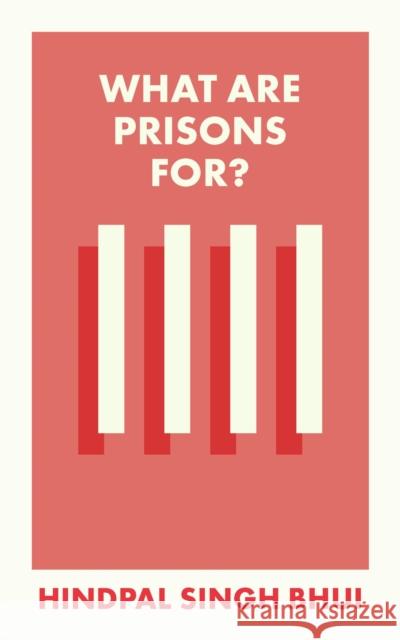 What Are Prisons For? Hindpal Sing 9781529226898 Bristol University Press