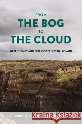 From the Bog to the Cloud: Contesting Eco-Modernity in Ireland Patrick (University College Dublin) Brodie 9781529241952 Bristol University Press